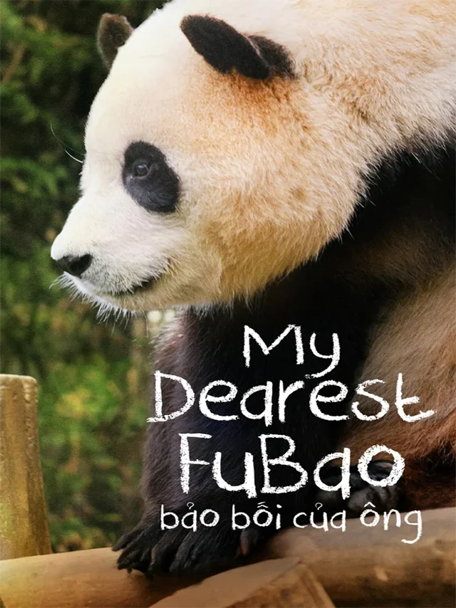 Fubao: Bảo Bối Của Ông Lồng Tiếng