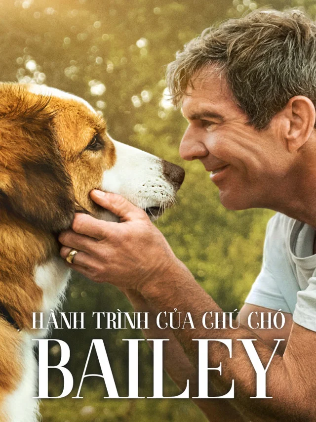 Hành Trình Của Chú Chó Bailey Kplus Thuyết Minh